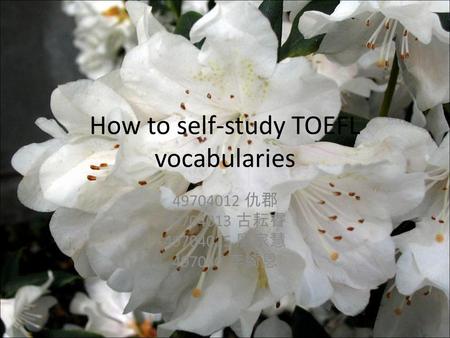 How to self-study TOEFL vocabularies 49704012 仇郡 49704013 古耘睿 49704015 廖家慧 497040 李綺恩.