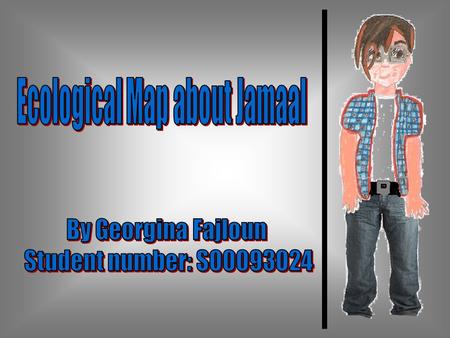 INDIVIDUAL CHARACTERISTICS Age:16 years old Gender: Male Ethnicity: Iraqi migrant Socio economic status: Student average family income living in Holroyd.