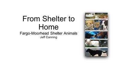 From Shelter to Home Fargo-Moorhead Shelter Animals Jeff Canning.