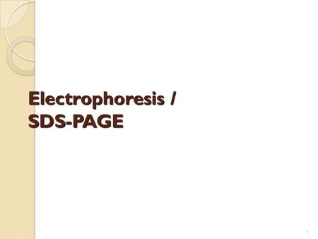 Electrophoresis / SDS-PAGE