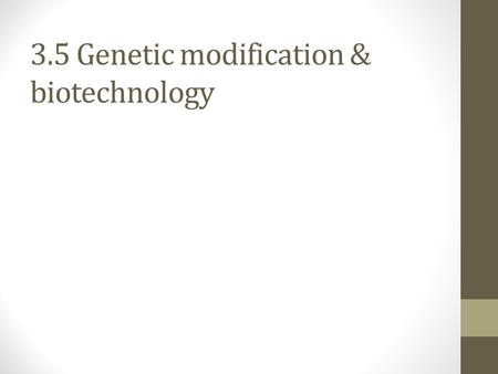 3.5 Genetic modification & biotechnology. Gel electrophoresis Used to separate fragments of DNA or proteins according to size (uses an electric field.