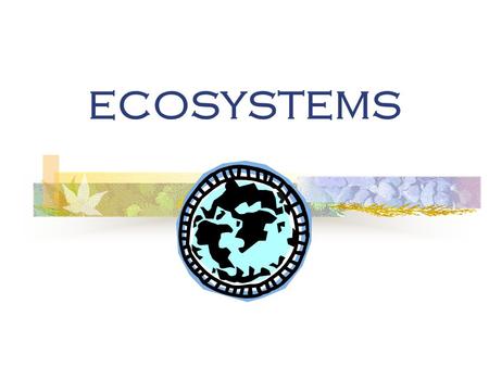 ECOSYSTEMS. ECOSYSTEMS & ECOLOGY Ecology is the study of the interactions of living organisms with one another and their physical environment.