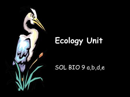 Ecology Unit SOL BIO 9 a,b,d,e. BIO SOL: 9 a,b,d,e The student will investigate and understand dynamic equilibria within populations, communities, and.