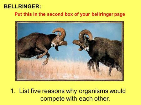 BELLRINGER: 1. List five reasons why organisms would compete with each other. Put this in the second box of your bellringer page.