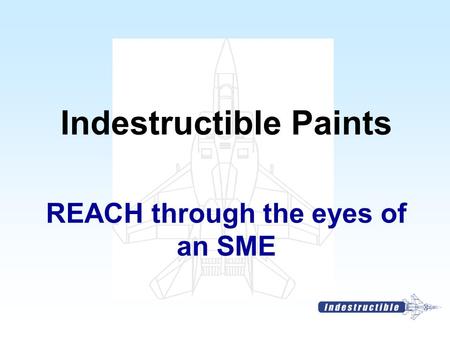 REACH through the eyes of an SME Indestructible Paints.