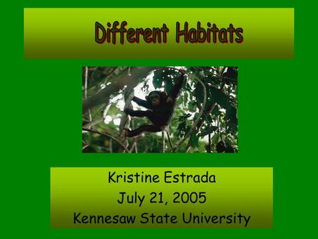 Kristine Estrada July 21, 2005 Kennesaw State University.