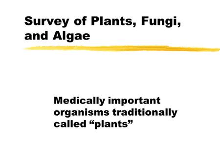 Survey of Plants, Fungi, and Algae Medically important organisms traditionally called “plants”