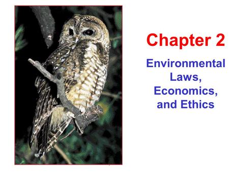 Environmental Laws, Economics, and Ethics Chapter 2.