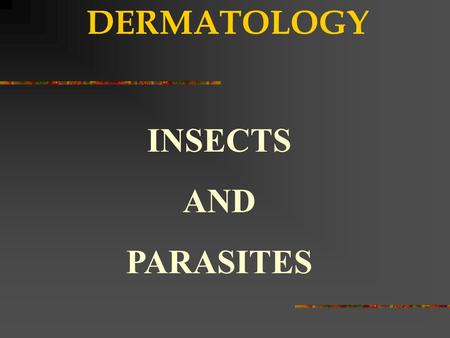 DERMATOLOGY INSECTS AND PARASITES. PEDICULOSIS (LICE) Nits firmly attached to hair shafts. Under a microscope, an egg with a developing head louse, attached.