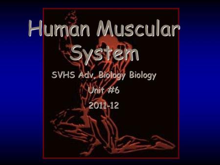 Human Muscular System SVHS Adv, Biology Biology Unit #6 2011-12.