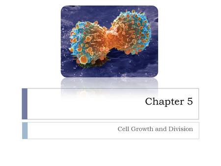 Cell Growth and Division