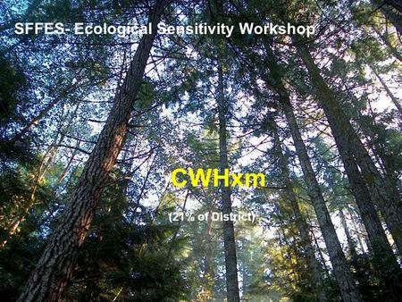 SFFES- Ecological Sensitivity Workshop CWHxm (21% of District)