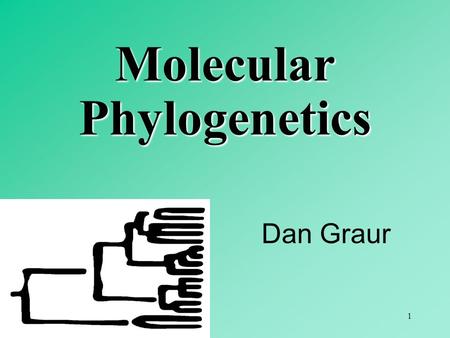 1 Dan Graur Molecular Phylogenetics. 2 3 4 5 6 Molecular phylogenetic approaches: 1. distance-matrix (based on distance measures) 2. character-state.