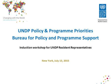 DRAFT FOR DISCUSSION ONLY Revised January 9, 2015 UNDP Policy & Programme Priorities Bureau for Policy and Programme Support Induction workshop for UNDP.