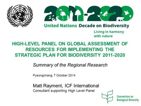 Living in harmony with nature HIGH-LEVEL PANEL ON GLOBAL ASSESSMENT OF RESOURCES FOR IMPLEMENTING THE STRATEGIC PLAN FOR BIODIVERSITY 2011-2020 Summary.