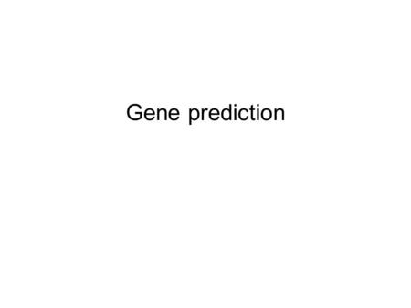 Gene prediction. Gene Prediction: Computational Challenge aatgcatgcggctatgctaatgcatgcggctatgctaagctgggatccgatgacaatgcatgcggctatg ctaatgcatgcggctatgcaagctgggatccgatgactatgctaagctgggatccgatgacaatgcatgc.