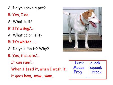 A: Do you have a pet? B: Yes, I do. A: What is it? B: It’s a dog/… A: What color is it? B: It’s white/.... A: Do you like it? Why? B: Yes, it’s cute/…