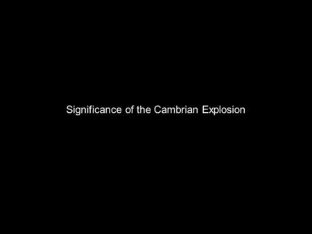 Significance of the Cambrian Explosion. Base of Cambrian/Paleozoic/Phanerozoic The base of the Phanerozoic Eon is defined by the first appearance of burrows.