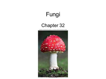 Fungi Chapter 32.