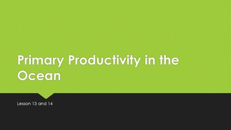 Primary Productivity in the Ocean Lesson 13 and 14.