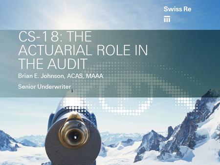 CS-18: THE ACTUARIAL ROLE IN THE AUDIT Brian E. Johnson, ACAS, MAAA Senior Underwriter.