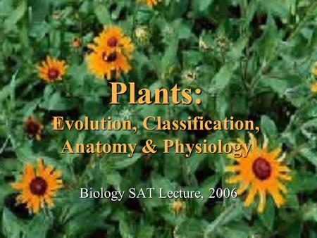 Plants: Evolution, Classification, Anatomy & Physiology Biology SAT Lecture, 2006.