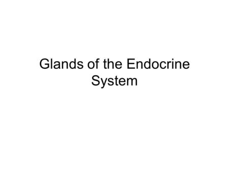 Glands of the Endocrine System