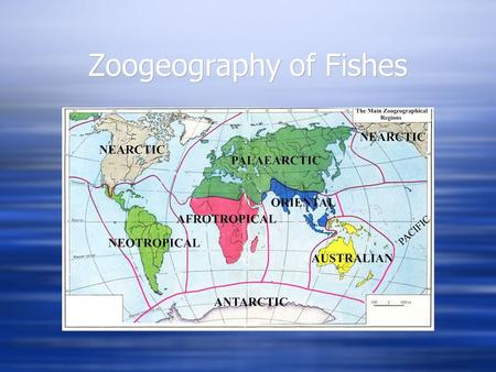 Zoogeography of Fishes.  Patterns and processes in the distribution of fishes (i.e., what causes certain fish species to be where they are?)  Global.