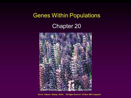 Genes Within Populations