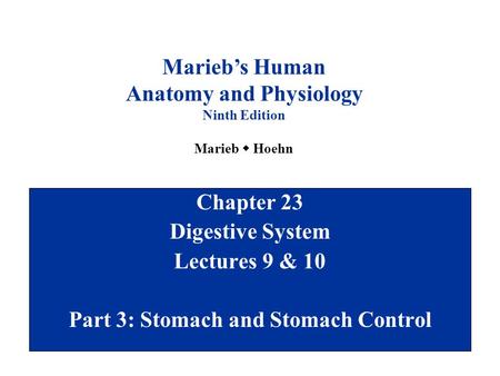 Anatomy and Physiology Part 3: Stomach and Stomach Control