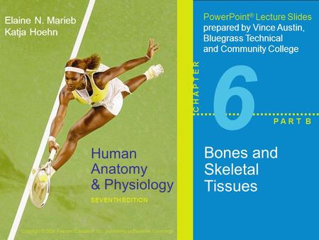 Copyright © 2006 Pearson Education, Inc., publishing as Benjamin Cummings Human Anatomy & Physiology SEVENTH EDITION Elaine N. Marieb Katja Hoehn PowerPoint.