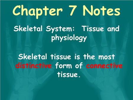 Skeletal System: Tissue and physiology Skeletal tissue is the most distinctive form of connective tissue. Chapter 7 Notes.