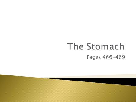 Pages 466-469.  Temporary food storage  mechanical and chemical breakdown of food ◦ Pepsin is secreted to break down protein  chyme (processed food)