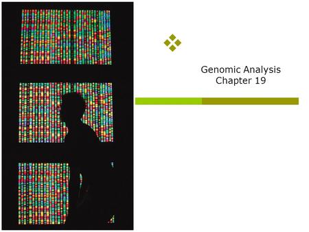 Genomic Analysis Chapter 19 Overview of topics to be discussed  How to sequence genomic DNA (we will have to touch briefly on polymerase chain reaction—a.