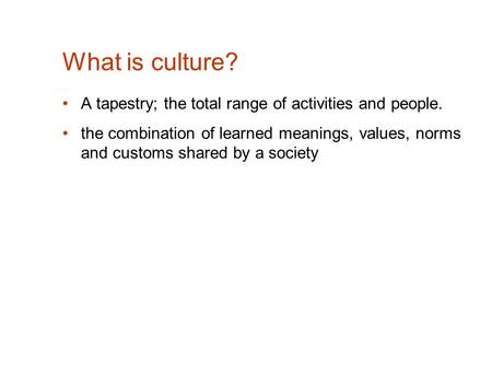 What is culture? A tapestry; the total range of activities and people. the combination of learned meanings, values, norms and customs shared by a society.