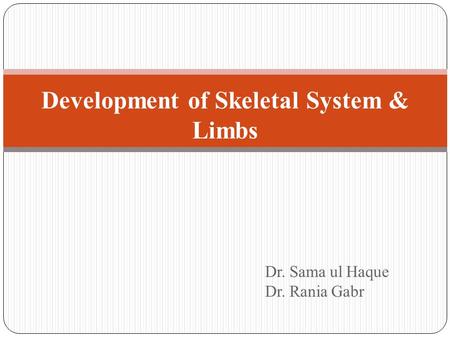 Development of Skeletal System & Limbs Dr. Sama ul Haque Dr. Rania Gabr.