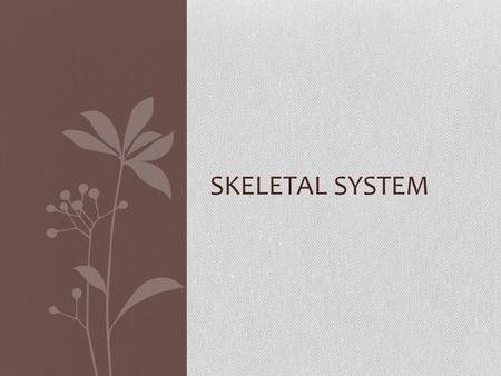 SKELETAL SYSTEM. The function of the skeletal system is to support and protect softer tissues, assist in movement, store minerals and adipose cells, and.