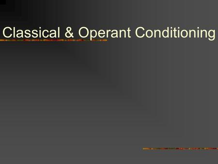 Classical & Operant Conditioning. 1.Classical Conditioning A.Pavlov's Conditioning Experiments Experiment on salivation turns into research on learning.