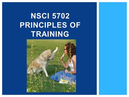 NSCI 5702 PRINCIPLES OF TRAINING. 1.What is training? 2.Why is it useful to train animals? 3.How do animals learn? 4.Training techniques used with animals.