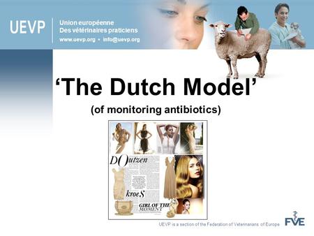 UEVP is a section of the Federation of Veterinarians of Europe Union européenne Des vétérinaires praticiens  ‘The Dutch Model’