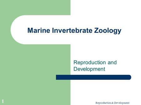 Marine Invertebrate Zoology