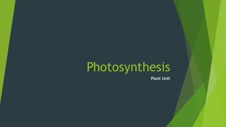 Photosynthesis Plant Unit. Vascular or Nonvascular Why?