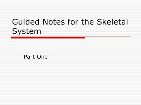 Guided Notes for the Skeletal System