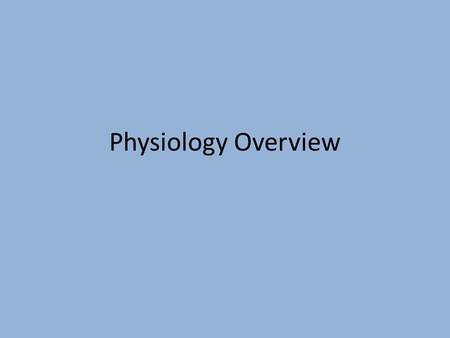 Physiology Overview. Respiratory System What is the point? get oxygen to muscles and carbon dioxide out Where does gas exchange happen? In the lungs-between.