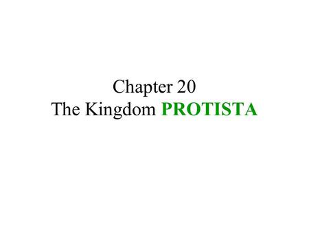 Chapter 20 The Kingdom PROTISTA