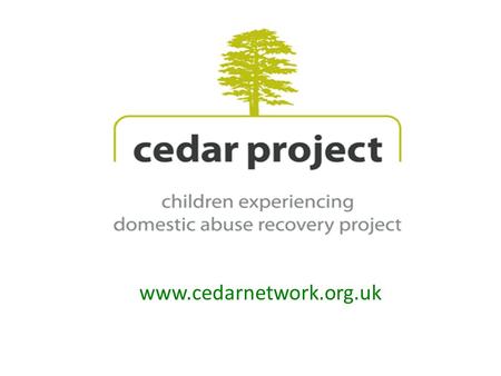 Www.cedarnetwork.org.uk. What caught our attention? Supporting mother to support child Gendered analysis i.e. DA being a cause & effect of inequality.