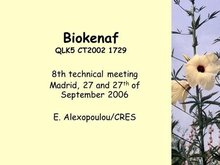 Biokenaf QLK5 CT2002 1729 8th technical meeting Madrid, 27 and 27 th of September 2006 E. Alexopoulou/CRES.