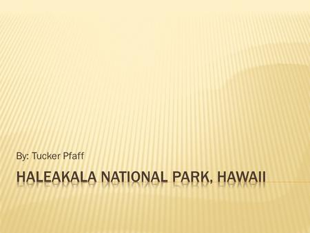 By: Tucker Pfaff.  Haleakala was established on July 1 st, 1961. It was first considered as part of the Hawaii National Parks in1916 with some of the.