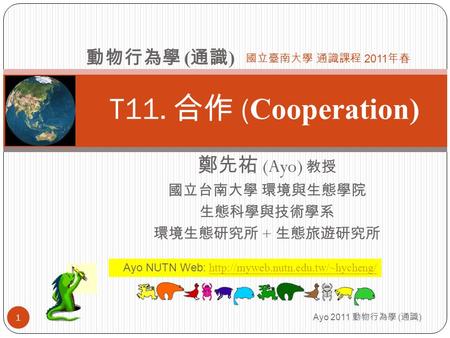 T11. 合作 ( Cooperation) 鄭先祐 (Ayo) 教授 國立台南大學 環境與生態學院 生態科學與技術學系 環境生態研究所 + 生態旅遊研究所 動物行為學 ( 通識 ) 國立臺南大學 通識課程 2011 年春 Ayo NUTN Web: