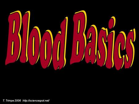 T. Trimpe 2006  What makes up our blood? RED BLOOD CELLS (Erythrocytes) – The most abundant cells in our blood; they are produced.